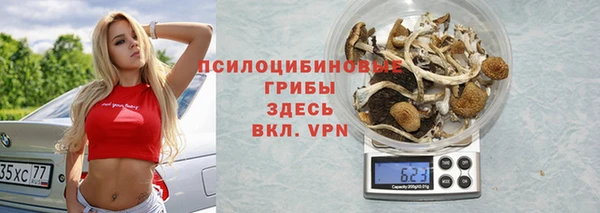 PSILOCYBIN Арсеньев