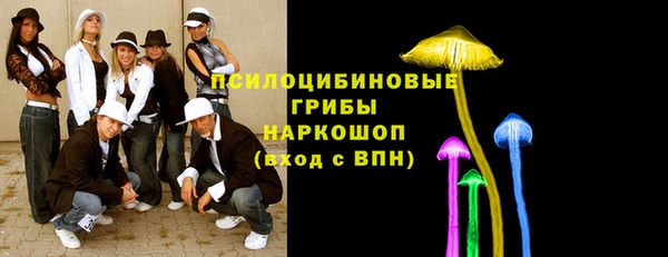 PSILOCYBIN Арсеньев